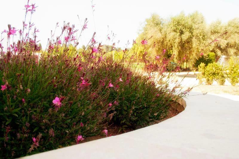Agriturismo Fontanelle Otranto Exterior foto